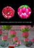 Hanging Blossom Lotus Flower Lampshade for Chinese Lantern Festival Decor - Rose Red - Default