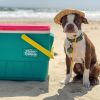 Retro Picnic Basket 25qt Cooler - Dark Jade - Dark Jade